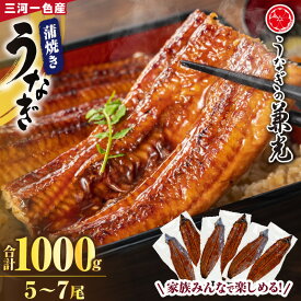 【ふるさと納税】三河一色産 うなぎ蒲焼【1kg（5〜7尾）】U040-30【冷凍便】うなぎの兼光 蒲焼き 総菜 国産うなぎ ウナギ 鰻 愛知県産 西尾市産 西尾一色産 タレ付き たれセット 蒲焼き かば焼き MB
