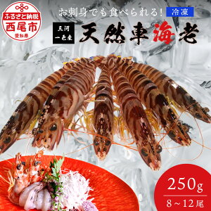 yӂ邳Ɣ[ŁzĂ݂IhgłHׂ O͈FY VRԊCV Ⓚ250g TCY8`12 A[gbN M109yⓀցz/ VR CV Gr Ԃ ԃGr m s