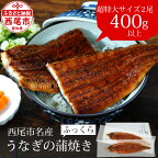 うなぎ 三河産 超特大 うなぎ 蒲焼 2尾（2尾合計400～420g）A090-18【冷凍便】うなぎ 国産 三河産 日本産 愛知県産 鰻 蒲焼き 特大 タレ付き たれセット さんしょう 西尾市 食品 食べ物 おかず MB