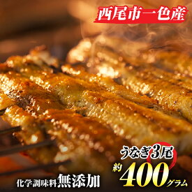 【ふるさと納税】うなぎ 西尾 手焼き 三河一色産うなぎ蒲焼 3尾（約400g）A130-22【冷蔵便】 国産 三河産 無頭 三河一色産 愛知県産 鰻 鰻の蒲焼き 蒲焼き タレ付き たれセット さんしょう 国産うなぎ 化学調味料無添加 土用 MB 送料無料