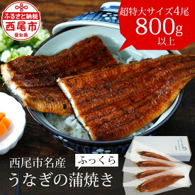 【ふるさと納税】うなぎ 西尾 三河産 超特大 蒲焼き 4尾(4尾合計800～820g)A132-32【冷凍便】 愛知 うなぎ 国産 三河産 日本産 愛知県産 鰻 特大 タレ付き たれセット 西尾市 蒲焼 土用の丑の日 海鮮 食品 MB