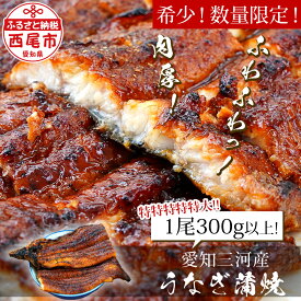 【ふるさと納税】うなぎ 西尾 希少なビッグサイズ！ 三河産 うなぎ 蒲焼き 1尾（300グラム以上!）冷凍 A135-14 規格外 国産 愛知三河産 愛知県産 鰻 ウナギ メガサイズ 大きい タレ付き【冷凍便】MB