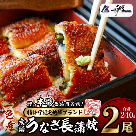 【ふるさと納税】 一色産うなぎ 無頭 長蒲焼2尾 合計約240g I048-13-1【冷凍便】蒲焼き 総菜 国産うなぎ 鰻 鰻の蒲焼き 愛知県産 西尾市産 西尾一色産 三河産 タレ付き たれセット さんしょう MB