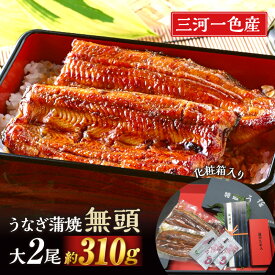 【ふるさと納税】三河一色産うなぎ蒲焼 大サイズ2尾入り【蒲焼パック冷凍×2尾（1尾約155g）】 M044-19 【冷凍便】 国産 無頭 三河産 日本産 愛知県産 鰻 タレ付き たれセット さんしょう MB