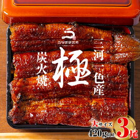 【ふるさと納税】三河一色産うなぎ蒲焼大3尾(420g以上)・R006 うなぎ 鰻の蒲焼 蒲焼 鰻蒲焼 たれ タレ付き 三河一色産 ブランド鰻 一色産うなぎ ブランド 惣菜 肉厚 脂乗り 国産 愛知県産 特産品 グルメ ギフト おすすめ 冷凍 愛知県 西尾市 送料無料