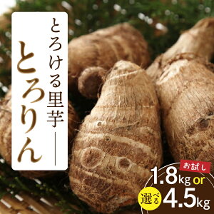 【ふるさと納税】《容量が選べる》【お試し】とろける里芋『とろりん』土付き ・H059-SKU 里芋 芋 野菜 農作物 農産物 青果 料理 材料 和食 煮物 おでん 惣菜 里芋の煮っころがし 筑前煮 特産