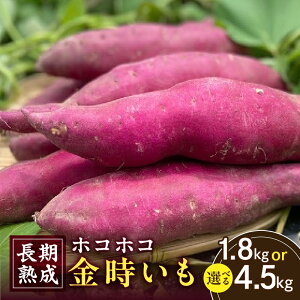 【ふるさと納税】《容量が選べる》長期熟成 ホコホコ金時いも ・H060-SKU いも 金時いも さつまいも 野菜 根菜 根野菜 農作物 農産物 料理 材料 和食 煮物 惣菜 特産品 特産 お取り寄せ グルメ