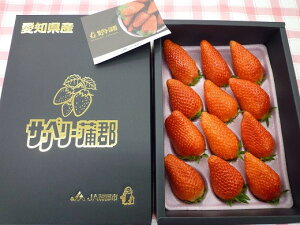 yӂ邳Ɣ[ŁzG0358yԌzTx[ S uЂ߁v12 ʕ  Xgx[
