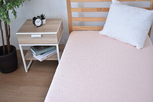 yӂ邳Ɣ[ŁzG0387 WK[hD tbgV[c F2g 100 Rbg S VRf xr[ qǂ  Q ~ӂƂ