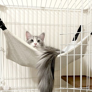 yӂ邳Ɣ[ŁzG0481 MIMI Lp nbN t[W }CNV[{A o[Vu ˂ lR L  Ck   Ђ ΍ ~ ΍