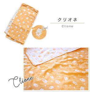 yӂ邳Ɣ[ŁzG0514 O͖ؖ 6dD K[[ tFCXoX^I Zbg O͖ؖ K[[ ^I 6dK[[ Y d ӂ _炩 肪ǂ Ԃ   ~ g 