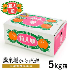 【ふるさと納税】G0002【期間限定】蒲郡みかん「箱入娘」約5kg 温室みかん ハウス栽培 早生みかん 宮川早生 箱入娘 おてんば娘 青島 せとか はるみ デコポン 樹熟デコポン 化粧箱 中晩柑 愛知県産 ガマゴオリ フルーツ 果物 デザート 美味しい ジューシー お歳暮 お中元
