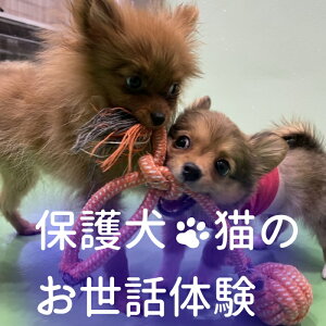yӂ邳Ɣ[Łza@ŕی삳ꂽL̂b̌b ی쌢 یL ybg hbN qǂ q ̌ `Pbg 1l w m  R wK   L b