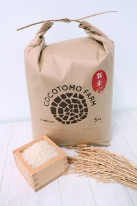 yӂ邳Ɣ[ŁzyĔ_Ƃ̂āzĂ̂Ă͂RRgt@[ňĂāb 5kg 5L 10kg 10L  R mY mY ̕ m̓Yi Yi 