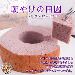 yӂ邳Ɣ[Łzp[voE \tg@₯̓c@sI[l b oEN[w  ĕ \tg p[v p[vM XC[c fU[g  v`Mtg o[N[w wV[ 