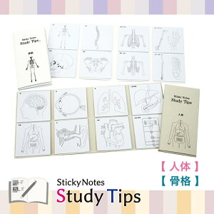 �y�ӂ邳�Ɣ[�Łz�t� �ySticky Notes Study Tips�z (�X�^�f�B�`�b�v�X) �b�t� �l�� �n�} ���{�n�} ���E�n�} �w�K �t���� �׋� �Z�b�g ���� ���� �v���[���g �֗� �������� �� �m ������ �M�t�g �q