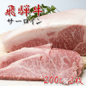 yӂ邳Ɣ[ŁzˋT[CXe[L b ˋ T[C T[CXe[L Xe[Lp 3 600g ̏ ˋꓪ ꓪ  ~ m   É