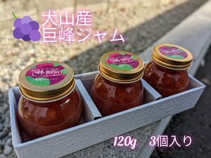 yӂ邳Ɣ[Łzys\zRYuWv120g@3 b W Zbg 3 Ԃǂ uhE  mَq aَq