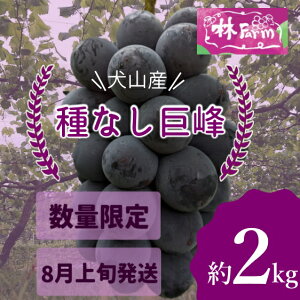 yӂ邳Ɣ[ŁzyԌEʌzRY n Ȃ 2L is\j | Ԃǂ Â 2L   уt@[ [ uhE  R Ȃ RY