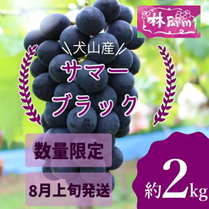 yӂ邳Ɣ[ŁzyԌEʌzуt@[C`IVIRY Ɋ T}[ubN 2Lis\j b Ԃǂ Â 2L   уt@[ [ uhE 嗱 R  