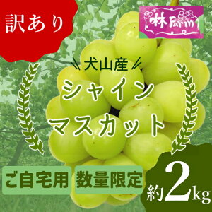 yӂ邳Ɣ[ŁzyԌEʌz󂠂茢RYVC}XJbg 2L b Ԃǂ Â 2L   уt@[ [ uhE  R p  蕨 v[g J 