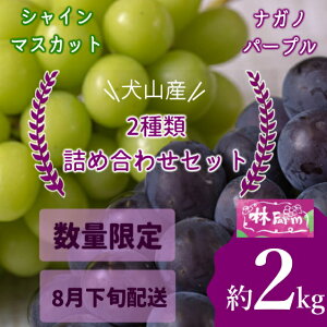 yӂ邳Ɣ[ŁzyԌEʌzRY VC}XJbgiKmp[v2ދlߍ킹 2Lis\j b Ԃǂ Â 2L   уt@[ [ uhE iKmp[