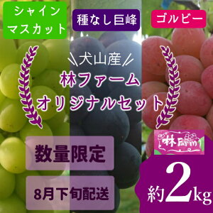 yӂ邳Ɣ[ŁzyԌEʌzRY VC}XJbgуt@[IWiZbg 2L is\jb Ԃǂ  VC}XJbg Sr[ 2L   уt