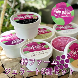 【ふるさと納税】林ファームスペシャルぶどうジェラートセット(6種類×1個） ｜ ジェラート アイス ソルベ スイーツ デザート 洋菓子 セット 詰め合わせ 6個 ぶどう ブドウ 巨峰 サマーブラック ヨーグルト 白ぶどう マスカルポーネチーズ ナイアガラ 果肉