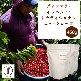 【ふるさと納税】グアテマラ・インヘルト・トラディショナル150g×3袋(計450g)ニュークロップ｜ コーヒー 珈琲 コーヒー粉 コーヒー豆 珈琲豆 珈琲粉 自家焙煎 飲料 インヘルト農園 トラディショナル 450g 深田珈琲 グアテマラ Toraditional El Injerto