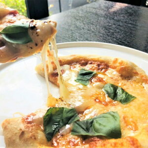 yӂ邳Ɣ[ŁzXg La vitâsUiⓀj6ya20cm×3×2z b sU Pizza }Q[^ qN[\[X q ƂĂ`L Hה  `