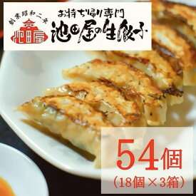 【ふるさと納税】中華料理 池田屋の冷凍生餃子 18個×3箱（合計54個）｜ たれ付き 冷凍餃子 冷凍生餃子 餃子 ぎょうざ 中華 中華料理 できたて 便利 簡単 お取り寄せ グルメ 池田屋 54個 尾張 愛知 岐阜 名古屋
