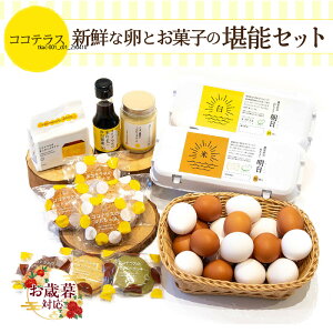 yӂ邳Ɣ[ŁzsΕΉItRReX̐VNȗƂَq̊\Zbg ܂pݖ JXe }h[k NbL[ }l[Y ܂  mَq O XC[c 