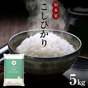 yӂ邳Ɣ[Łzm Ђ 1܁y 5kg z  H { _ uh  CX Y RVqJ    邿 튊s 