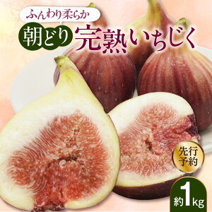 yӂ邳Ɣ[ŁzyԁEʌzӂ_炩 ǂ n 1kg t[c ʕ ʎ ̂  _  fU[g O Y Mtg mY 튊s ① 