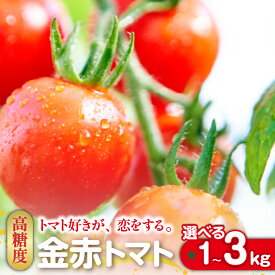 【ふるさと納税】トマト好きが、恋をする。金赤トマトミニ【選べる内容量 1kg・2kg・3kg】野菜 新鮮野菜 ミニトマト 味が濃い 高糖度 甘い 予約 トマト プチトマト 送料無料