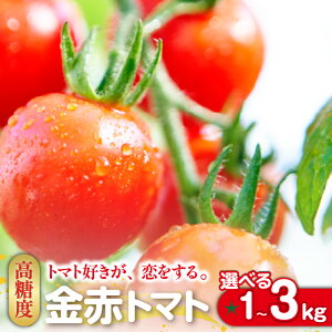 �y�ӂ邳�Ɣ[�Łz�g�}�g�D�����A��������B���ԃg�}�g�~�j�y�I�ׂ���e�� 1kg�E2kg�E3kg�z��� �V�N��� �~�j�g�}�g �����Z�� �����x �Â� �\�� �g�}�g �v�`�g�}�g ��������