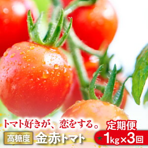 yӂ邳Ɣ[Łzy3ցiujzg}gDAB ԃg}gy1kg×3iv3kgjzԌ聦 ~j  VN ~jg}g Z x Â z 