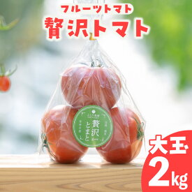 【ふるさと納税】フルーツトマト 贅沢トマト 大玉 【2kg】 よこた農園 野菜 トマト 新鮮野菜 太陽の恵み トマト料理 愛知県産 お取り寄せ グルメ ※2025年12月頃から順次発送 送料無料