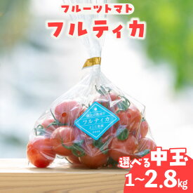 【ふるさと納税】フルーツトマト フルティカ 中玉【選べる内容量1kg・1.4kg・2.8kg】※5月中旬以降発送※ よこた農園 野菜 トマト 新鮮野菜 太陽の恵み トマト料理 愛知県産 お取り寄せ 冷蔵便でお届け 送料無料