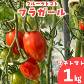 【ふるさと納税】フルーツトマト フラガール プチトマト（へたなし）【1kg】 よこた農園 野菜 トマト 新鮮野菜 太陽の恵み トマト料理 愛知県産 お取り寄せ グルメ へたを取り除いた状態でお届けします ※2025年12月頃から順次発送 送料無料