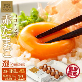 【ふるさと納税】《テレビで紹介されました！》ココテラスの明日（ 赤たまご ）【選べる個数・お届け回数】【 JGAP認証 】エサに10%の米を配合しているためコクがあります！ 農家直送 新鮮 卵 純植物性飼料 飼料にこだわった 卵かけご飯 米たまご 大容量 卵 送料無料