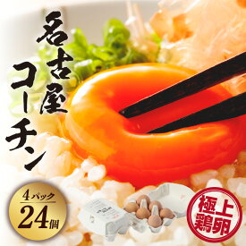 【ふるさと納税】【 高級 】名古屋コーチン 4パック【計24個】【 JGAP認証 】6個入 飼料にこだわった 採れたて卵 新鮮 希少 たまご 安心 安全 農家直送 たまごかけご飯 生卵 美味しい卵 愛知県 常滑市 送料無料