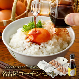 【ふるさと納税】【高級】 名古屋コーチン セット 【 6個入 × 2パック ・ 米たまご専用醤油 】【 JGAP認証 】たまご TKG ココテラス 高級たまご 卵 贅沢 お土産 贈り物 希少 朝食 デイリーファーム 赤卵 グルメ お取り寄せ 卵かけご飯専用醤油 送料無料