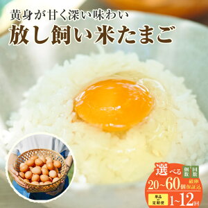 �y�ӂ邳�Ɣ[�Łz �������� �Ă��܂��y�I�ׂ���E���͂��񐔁z�y�{5�̊���ۏؕt���z ��`�q�g�݊����̂Ȃ������ň�Ă܂����B �ԗ� �� �������� ���������� ���S�E���S ���N�H�i ��