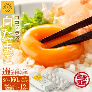 yӂ邳Ɣ[ŁzRReX̒i ܂ jyIׂE͂񐔁zy JGAPF z_ƒ VN  A ɂ  Ă܂ e  