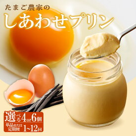【ふるさと納税】【受注生産】 たまご農家のしあわせプリン【選べる個数とお届け回数 4個・6個 / 1回・定期便】 のし対応 デイリーファーム たまご 幸せ プリン デザート スイーツ 卵 ココテラス なめらかプリン 瓶 常滑牛乳 ギフト グルメ お取り寄せ 愛知県 送料無料