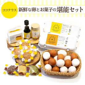 【ふるさと納税】ココテラスの新鮮な卵とお菓子の堪能セット たまご用醤油 カステラ マドレーヌ クッキー マヨネーズ たまご 調味料 洋菓子 グルメ スイーツ お取り寄せ 詰め合わせ ギフト 贈り物 プレゼント 送料無料