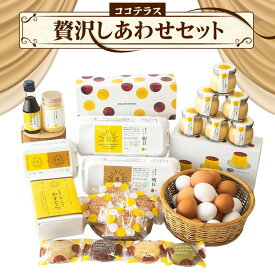【ふるさと納税】ココテラスの贅沢しあわせセット 赤たまご 卵 カステラ マドレーヌ クッキー マヨネーズ プリン 詰合せ セット 焼き菓子 洋菓子 スイーツ デザート ギフト 贈り物 プレゼント 送料無料