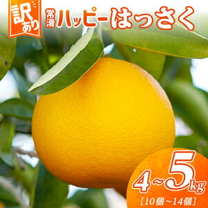 【ふるさと納税】【 訳あり 】\数量限定/ 常滑ハッピーはっさく【1箱 4〜5kg】10〜14個 はっさく 果物 みかん 柑橘 フルーツ 季節のフルーツ お取り寄せ【2026年1月中旬〜順次発送】送料無料