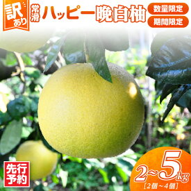 【ふるさと納税】先行予約【 訳あり 】常滑ハッピー晩白柚【選べる容量！2〜3kg または 3〜5kg 】＼ 数量限定／ 世界一大きな果樹 世界一の重量級の柑橘 ばんぺいゆ 柑橘 果物 みかん 柑橘 フルーツ 季節のフルーツ お取り寄せ 送料無料